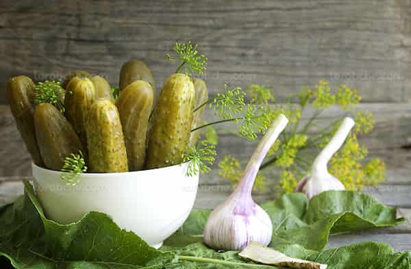 تصویر 4 از قیمت خرید خیارشور ویژه + فروش ویژه